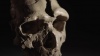 Tautavel, rencontre avec un ancêtre de plus de 450 000 ans