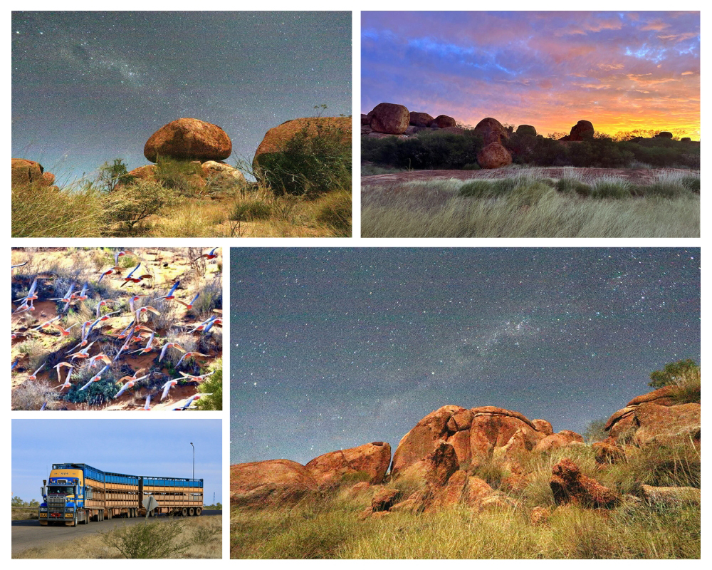 Vol de perruches. Les roadtrains ravitaillent les hameaux et villes de l'Outback @ Patrick Cros