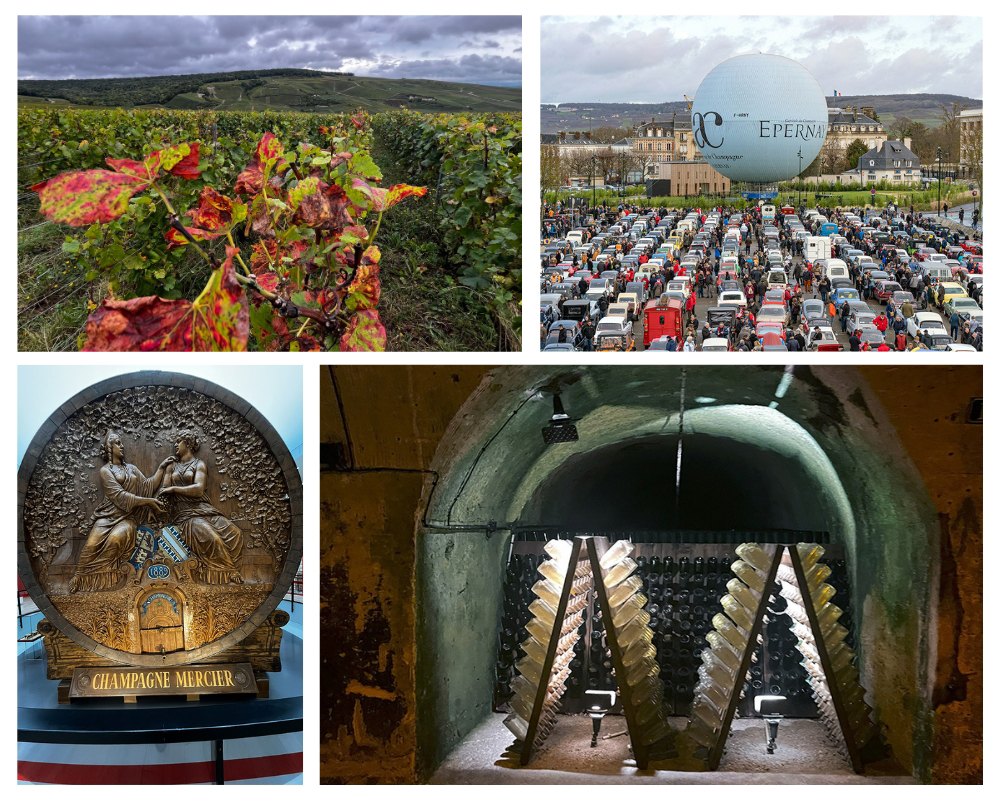 Les quatre grandes régions de l'appellation Champagne. @ Richard Bayon, ville d'Epernay.