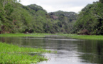 Amazonie péruvienne  : réserve ouverte à Pacaya-Samiria