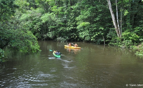 Carnet de voyage en Guyane, première étape : « Le Camp Cariacou »