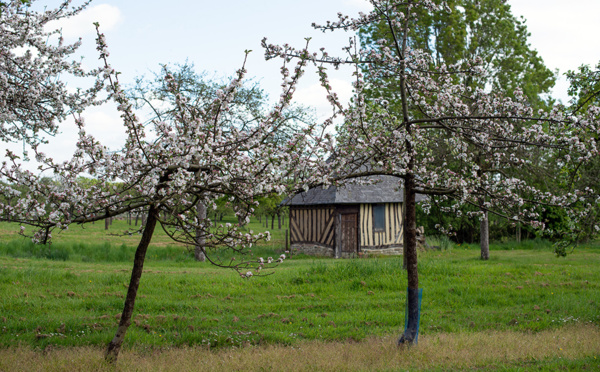 Escapade bucolique en Terre d’Auge